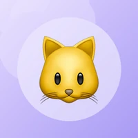 Illustration du site felinaccess.com