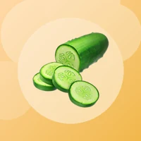 Illustration du site fermentustensile.com