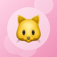 Illustration du site fontainechatinox.com