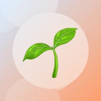 Illustration du site serreangle.com