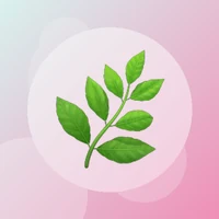 Illustration du site solairejardinage.com