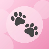 Illustration du site veilleusepetite.com